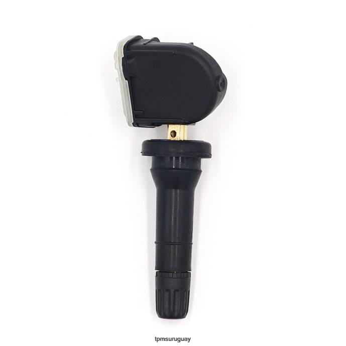 Tpms cambia el sensor de presión 3601010bs01 433mhz ZFZL1733 - Sensor De Presión De Neumáticos Haval H179